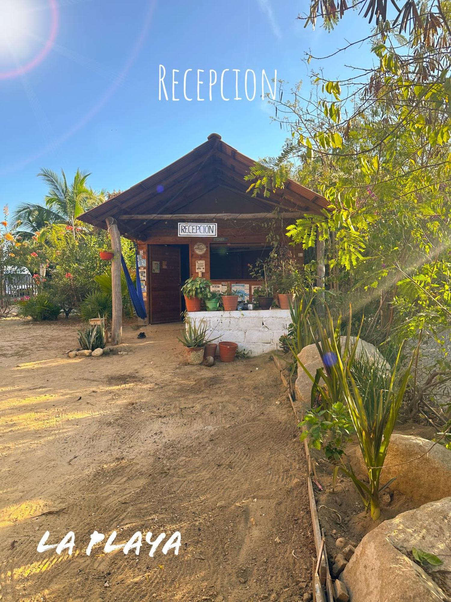 Hotel La Playa Mazunte Exteriér fotografie