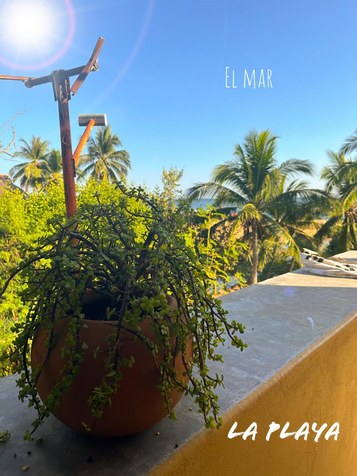 Hotel La Playa Mazunte Exteriér fotografie